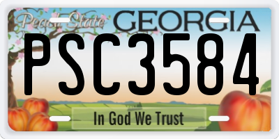GA license plate PSC3584