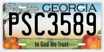 GA license plate PSC3589