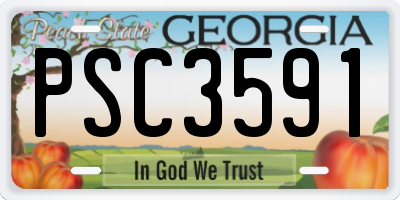 GA license plate PSC3591