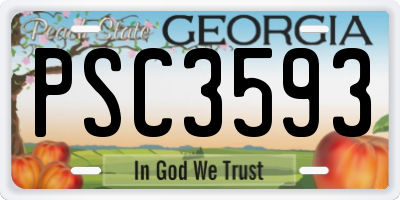GA license plate PSC3593