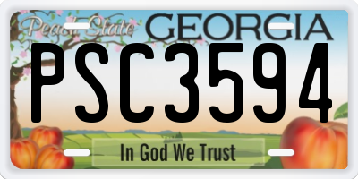 GA license plate PSC3594