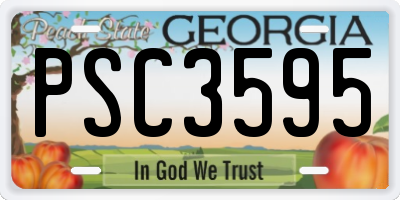 GA license plate PSC3595