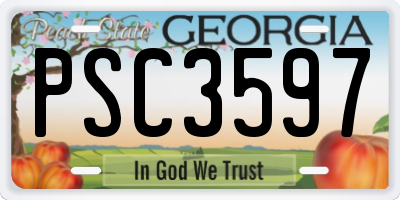 GA license plate PSC3597