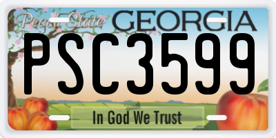 GA license plate PSC3599