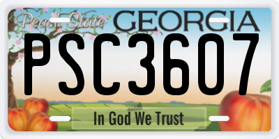 GA license plate PSC3607