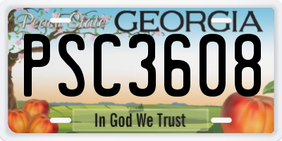 GA license plate PSC3608
