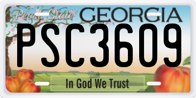 GA license plate PSC3609