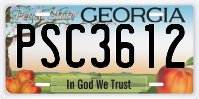 GA license plate PSC3612