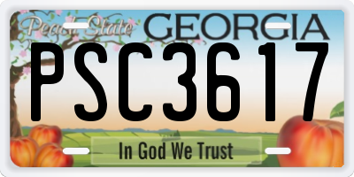 GA license plate PSC3617