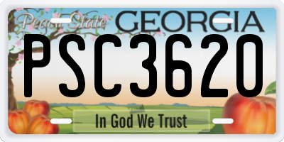 GA license plate PSC3620