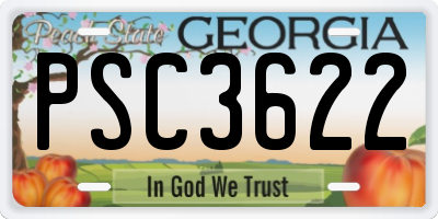 GA license plate PSC3622