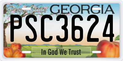 GA license plate PSC3624