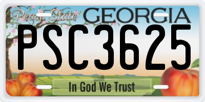 GA license plate PSC3625