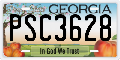 GA license plate PSC3628