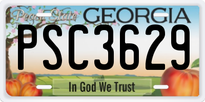 GA license plate PSC3629