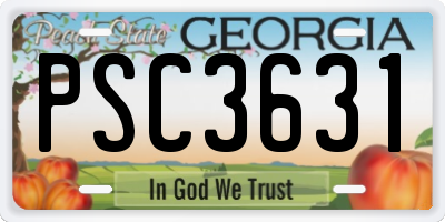 GA license plate PSC3631