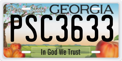 GA license plate PSC3633