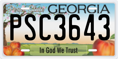 GA license plate PSC3643