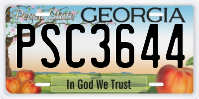 GA license plate PSC3644