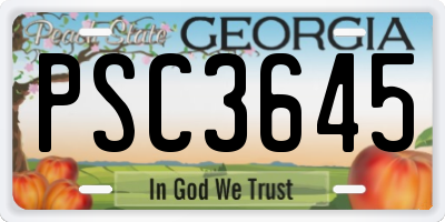 GA license plate PSC3645
