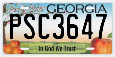 GA license plate PSC3647