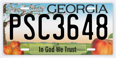 GA license plate PSC3648
