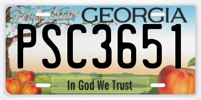 GA license plate PSC3651