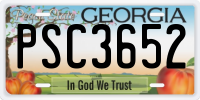 GA license plate PSC3652