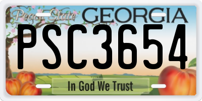 GA license plate PSC3654