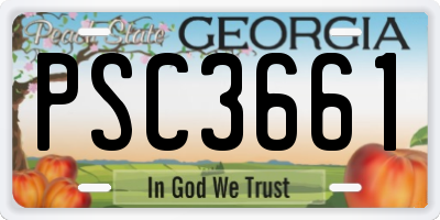 GA license plate PSC3661