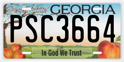 GA license plate PSC3664