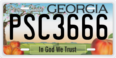 GA license plate PSC3666