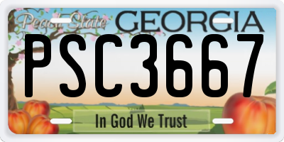 GA license plate PSC3667