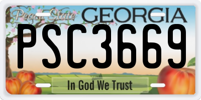 GA license plate PSC3669