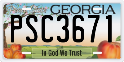 GA license plate PSC3671