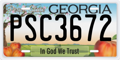 GA license plate PSC3672