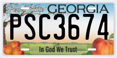 GA license plate PSC3674