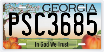 GA license plate PSC3685