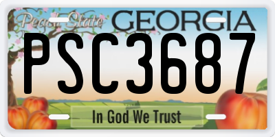 GA license plate PSC3687