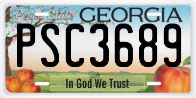 GA license plate PSC3689