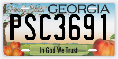 GA license plate PSC3691