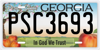 GA license plate PSC3693