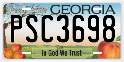GA license plate PSC3698