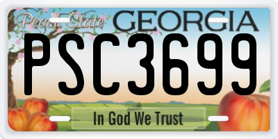 GA license plate PSC3699