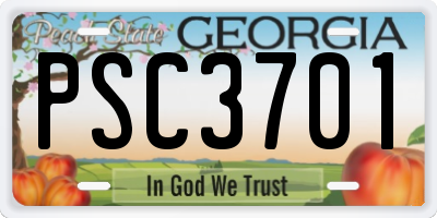 GA license plate PSC3701
