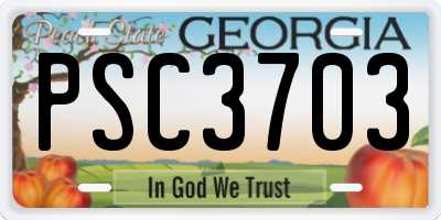 GA license plate PSC3703