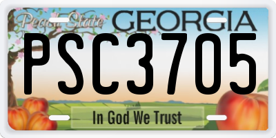 GA license plate PSC3705