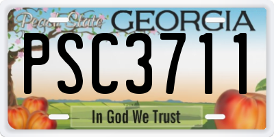 GA license plate PSC3711