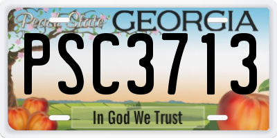 GA license plate PSC3713