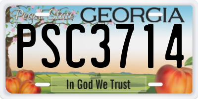 GA license plate PSC3714